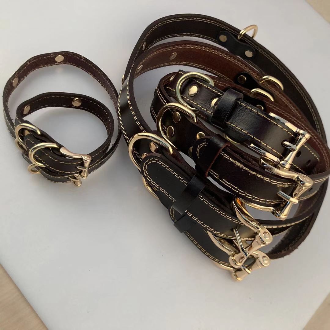 Dog Collar Image 2