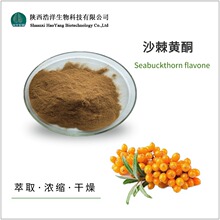 沙棘提取物 食品原料 沙棘黄酮 沙棘粉 植物提取物 浩洋生物 批发