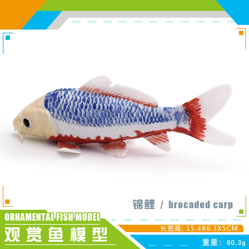 PL127 - 4158 Koi 80.3g