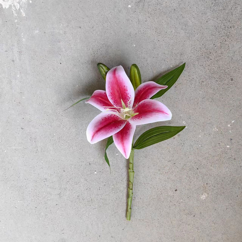 微信图片_20230913102842