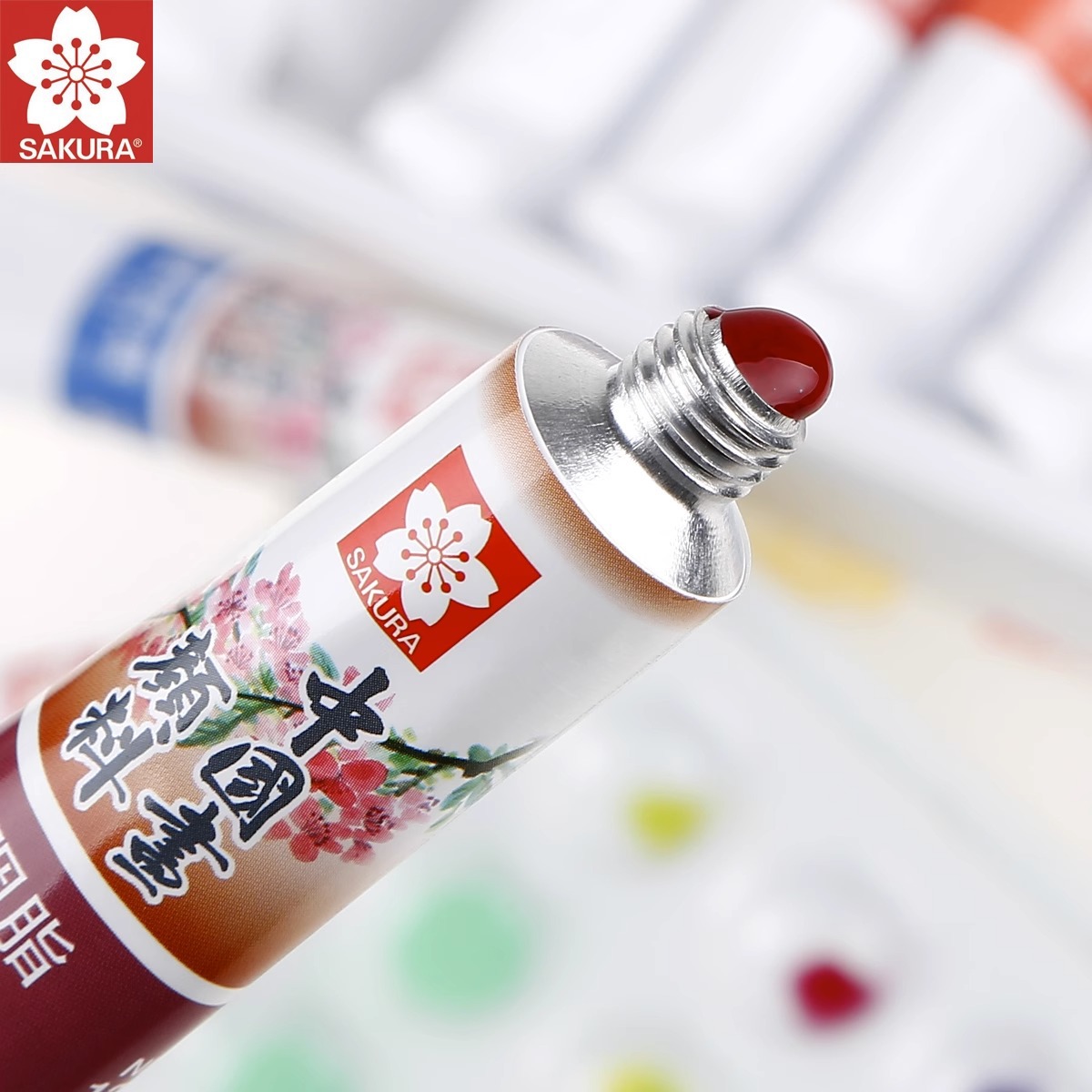 Japonés Sakura flor de cerezo pintura china pintura 24 colores traje 12ml pintura china pintura 18 colores pintura meticulosa pintura