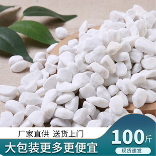 50kg Small White Pebbles, Natural Succulent Paving Stones, Gardening Courtyard Landscaping Flower Pots, White Stones
