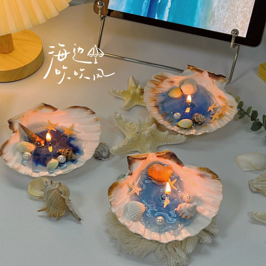 Письмо от острова Морская раковина раковина морские раковины