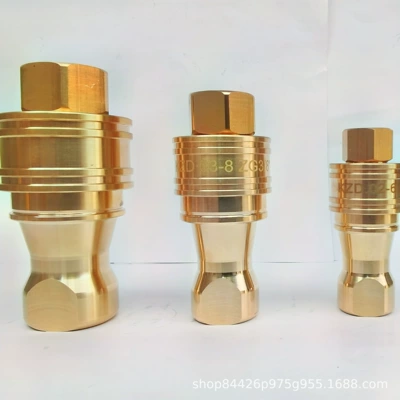 Avtomobil hissələri qəlibləri factory direct KZD brass mold