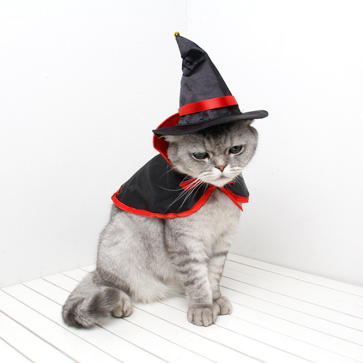 越境猫変身装ハロウィーンペット服装魔法マント犬クリスマスペット用品卸売り|undefined