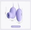 6976309821988 absolutely purple -USB direct insertion-double jump