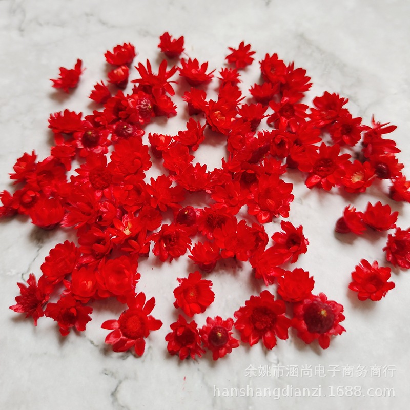 Cabeza de flor de estrella brasileña sin varilla flor seca diy mini margarita cristal epoxi relleno decorativo cabeza de flor seca