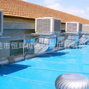 �|ݸ���ڻ��ݏS������ �h�����{ �h�����{�S��