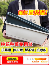 ���ϻ�������̨�N�����߲˷Nֲ������ݮ���Ԍ������L�����L�l��