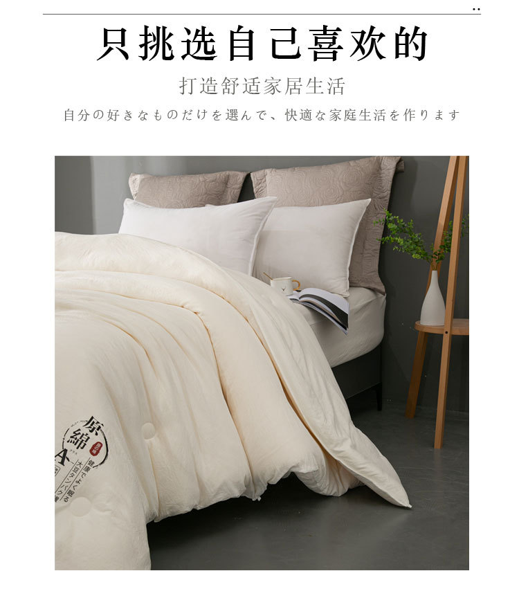 Class A Raw Cotton Soybean Fiber Thickened Quilt Core Spring Autumn Winter Cotton Quilt Student Dormitory Winter Quilt Gift Wholesale