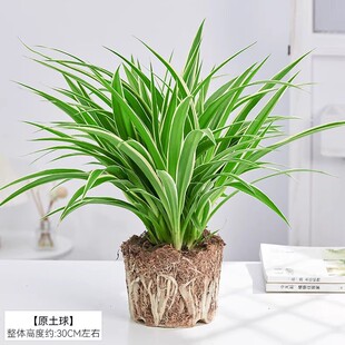 ��߅���m���ԾGֲ�����҃ȿ͏d���˺��B�����՚��ļ�������ĵ��m