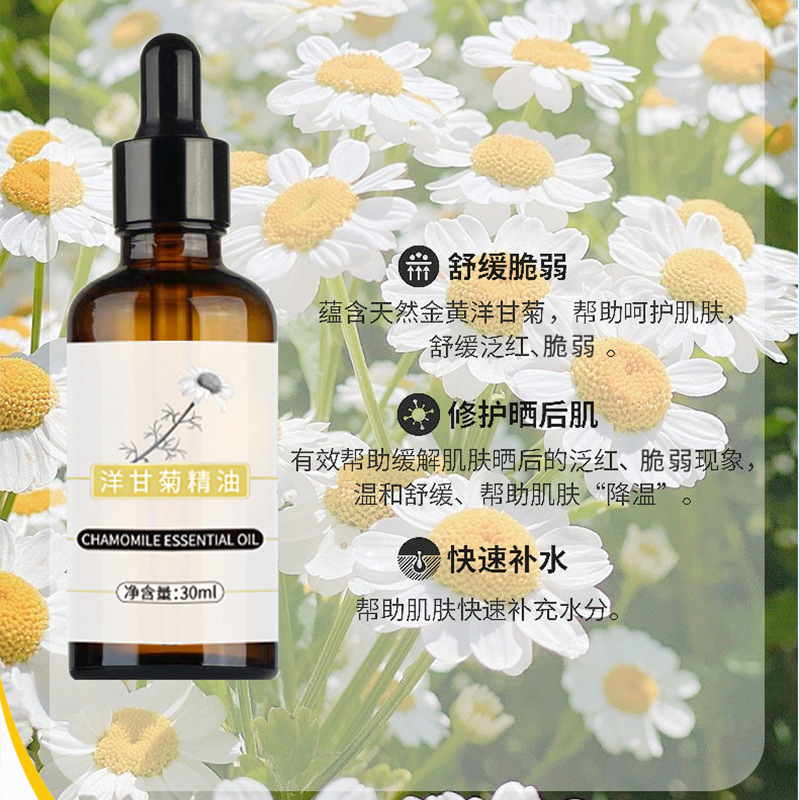 洋甘菊植物精油面部刮痧按摩脸部修护弱敏身体拔筋护润肤油批发|undefined