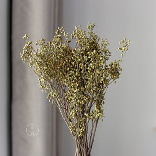 С�׹�С�ȼ������ɻ����ƹ������������廨�b[���S�����l
