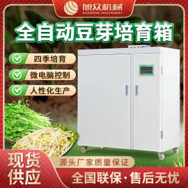 商用型豆芽机全自动智能化多功能绿豆发芽机不锈钢箱式大型豆芽机