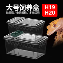 H19H20���x��̖�Ӵ���B��֩���،m׃ɫ��ϐ�ӽ������ϸ�͸��B��