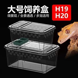宠物周边用品;其他小宠用品;鱼缸