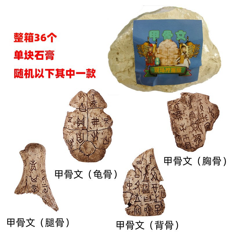 P083-36-Full 케이스 필드 에디션 미디엄-오라클