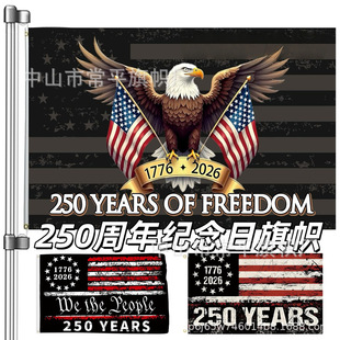 ��������250����o����� 3x5FT 250th anniversary usa Flag����
