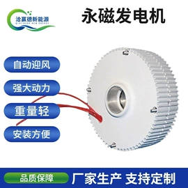 风力发电机;其他发电机