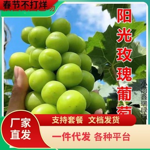 һ�����lꖹ�õ�����ј������ј��m�ش�޷����������ٱ��Ϸ��Nֲ