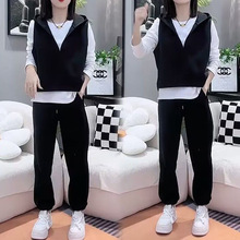 2025秋新款时尚套装女连帽马甲打底衫韩版气质垂感阔腿休闲三件套