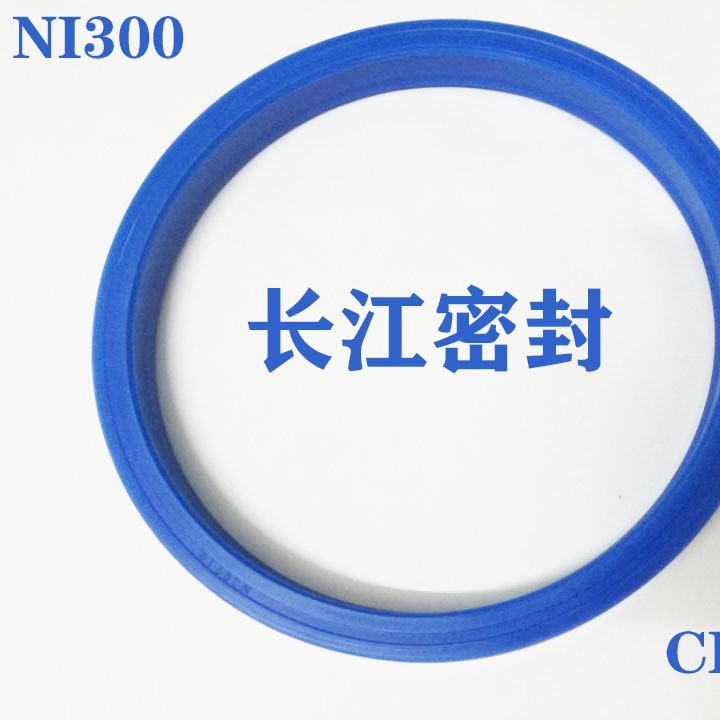 CFW NI300 110-125-15 100-120-15德国原装正品U形圈 油封