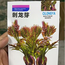 ��������ѿ���Ӵ���ѿ���Ӵ��ϰ����Ӵ̰�ѿ������ɫ�߲�����Ұ��