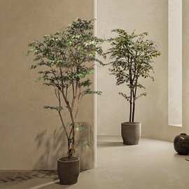 盆栽景观落地假树仿真绿植仿生真树杆榕树装饰摆件植物高级室内