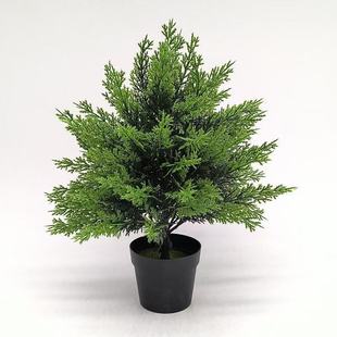 ���R�d�羳�����̰صز�Gֲ���~�b��⻨�@ͥԺ���Եز廨��