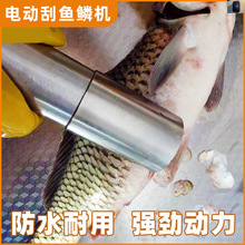 电动刮鱼鳞器去鱼鳞工具鱼鳞刨刀打麟杀鱼机全自动商用