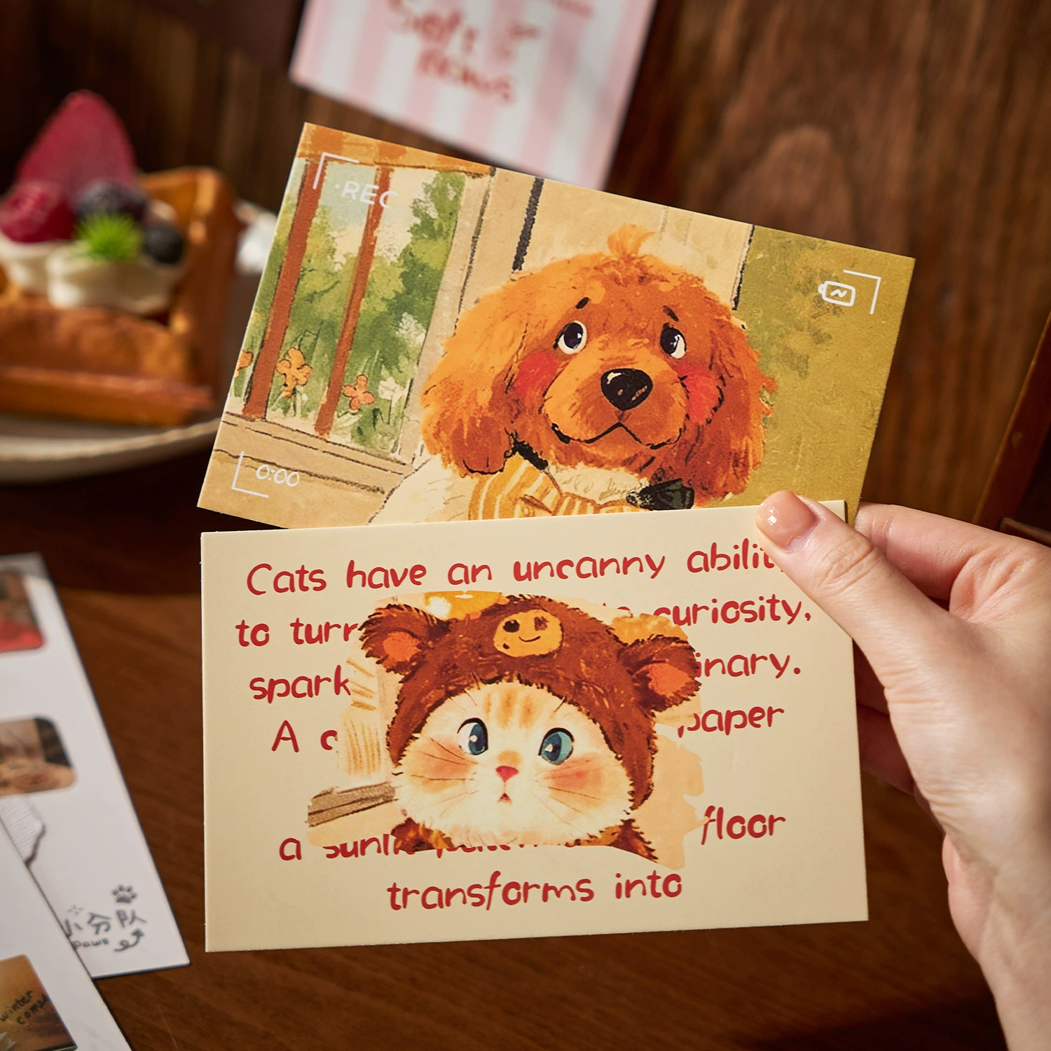 早沫 Boxed postcards Lazy Squad Series Cute diary collage material student message postcards