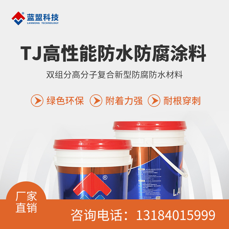 蓝盟TJ高性能防水防腐涂料 防腐防水涂料 防碳化涂料 厂家直销 量