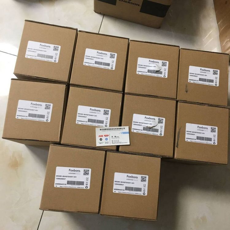 定位器SRD991-BHNS6EA4NY-V01