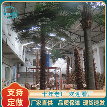 仿真绿植棕椰树 人造景观酒店装饰用热带植物摆件 摄影盆景椰棕树