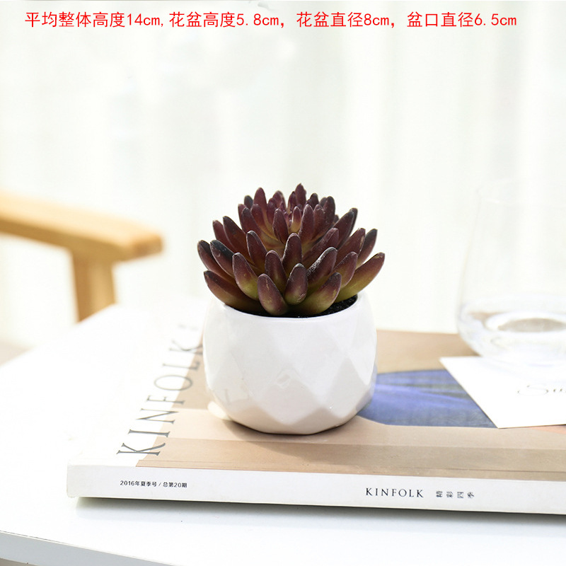 Dedo de Buda de otoño rosa gran cuenca de diamante ☆