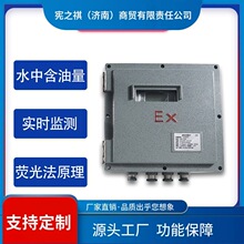 寻·防爆在线油份浓度计 管段水中含油量在线监测仪 荧光法油份浓