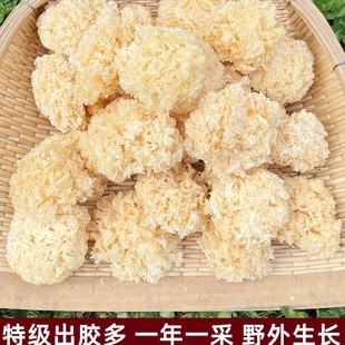 �|���ľС�y����؛���zŴ�o��Ұ���o���ľ��ɏ�Ӹ�ѩ���خa500g