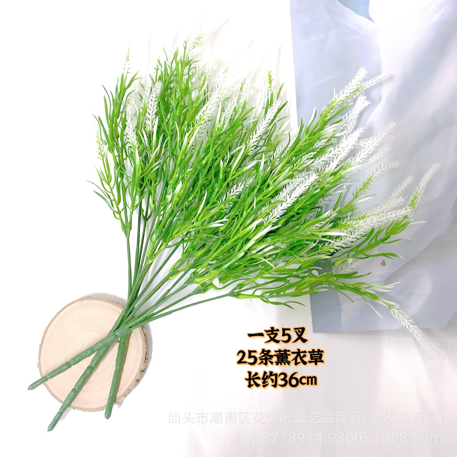 라벤더 화이트