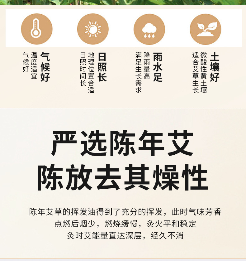 40:1 Moxa Cones Ai Zhu 5-Year Aged Mugwort 54 Pieces Moxibustion Stick for Warming Therapy key features