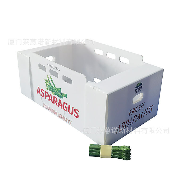 Caja de frutas y verduras de placa hueca pp personalizada plegable impermeable frutas y verduras frescas de transporte de cadena de frío Caja de plástico de calcio image 31