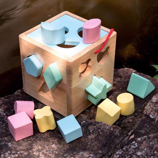 Cross-Border Shape Matching Toys, Geometric Matching Building Blocks, Infant and Toddler Intelligence Development Box, Multifunctional Educational Toy