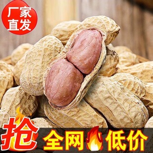 �����㻨���׺��������������㻨����ζ������؛�Թ����e��ʳ���l