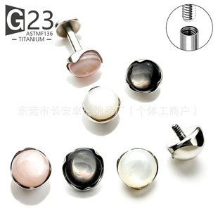 F136⁲���߅���ؐĸ���G23⁺Ͻ����w�����Ʒ����ᔴ��΁�