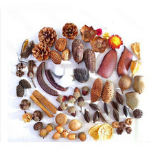 ɻb޻ɹ֦~ɏ׃@ֹhϰ