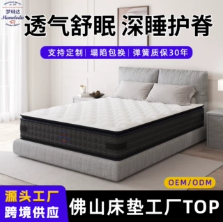 跨境卷包床垫家用卧室独立弹簧乳胶软垫双人床软硬适中环保棕床垫