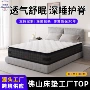 家用适中卧室软硬棕床垫