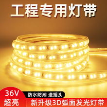 低压36VLED灯带2835双排户外防水线型工程隧道地下室养殖工程专用