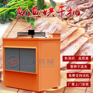 ~əC ՚~z~횺濾C Lʽ~ɺO