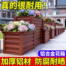 �X�Ͻ�Nֲ����⻨��ͥԺ�@�ֲ��P䓻��۹���N�ˌ��÷Nֲ��