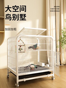 ��̖�˸��B�\���P��ü���B��ֳ��Ƥ�W�^�g���p���\�B���ӻ\��